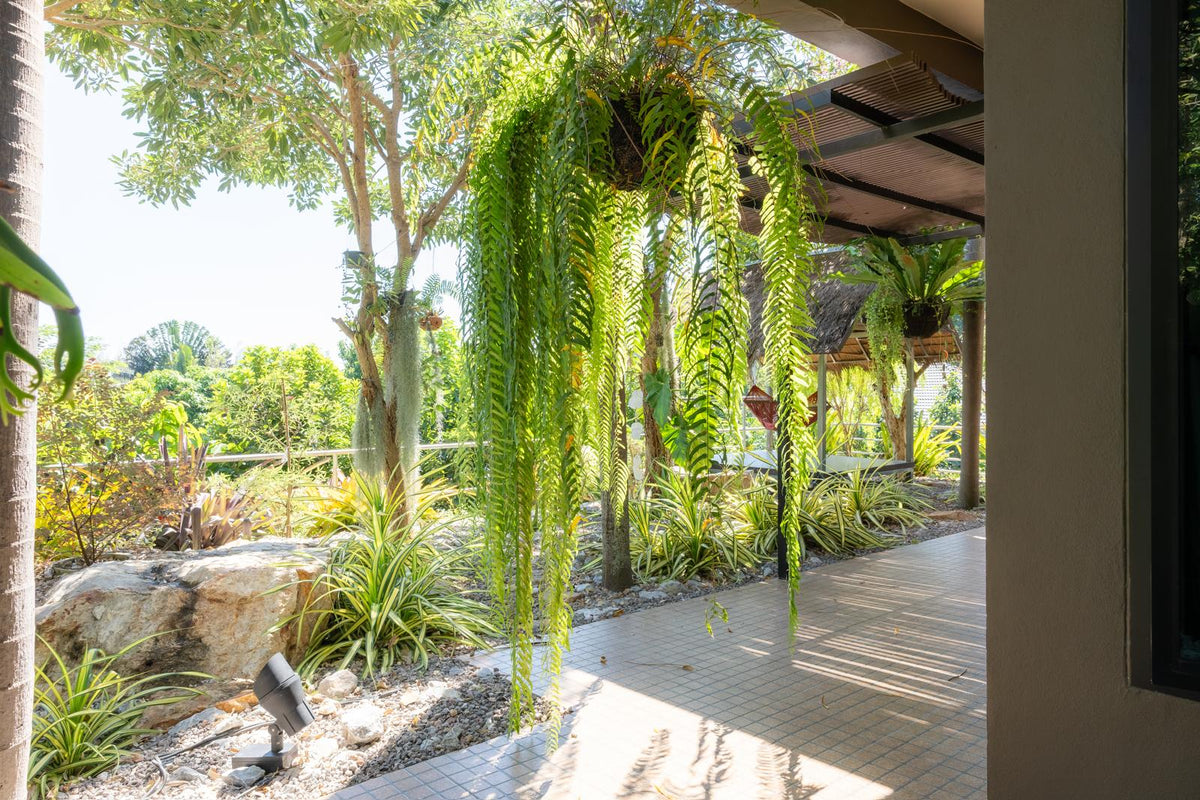 Front Villa